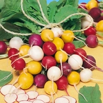 Turp Çeşitleri Türleri ve Özellikleri Turp Çeşitleri Türleri ve Özellikleri