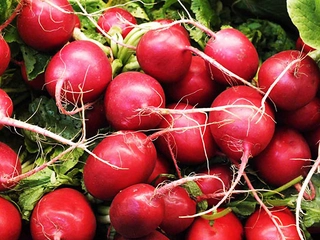 Fındık Turp Özellikleri ve Faydaları Nelerdir?