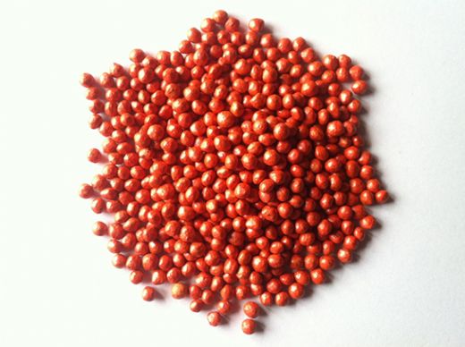 Kırmızı Turp Tohumu Türleri ve Özellikleri