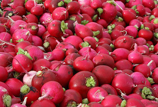 Kırmızı Turpun Faydaları ve Kullanımı