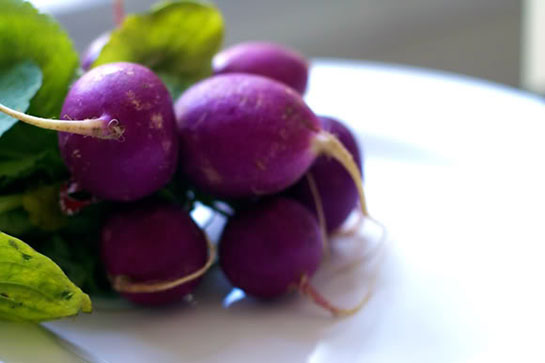 Mor Turp Kullanımı ve Faydaları Nelerdir?