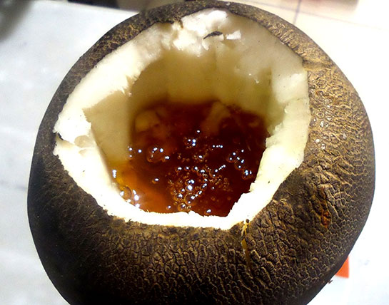 Öksürüğe Turp ve Bal Kullanımı ve Faydaları Nelerdir?