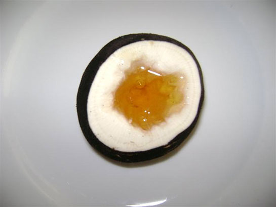 Siyah Turp Bal Zencefil Kullanımı ve Faydaları Nelerdir?