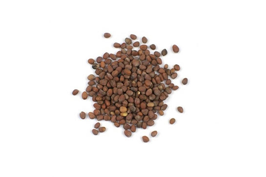 Turp Tohumu Kullanımı ve Faydaları Nelerdir?